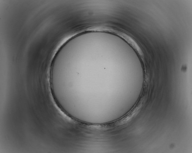 X0000101210855200807251047