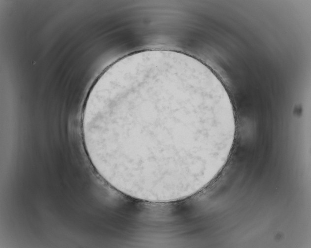 X0000101210856200807251047