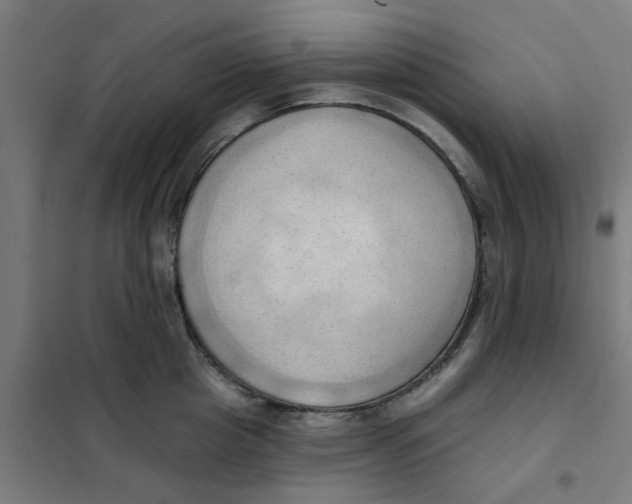 X0000101210857200807251047