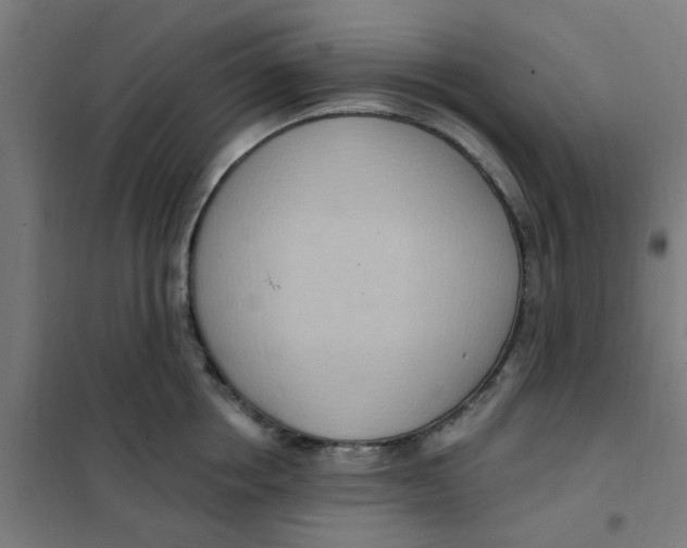 X0000101210858200807251047