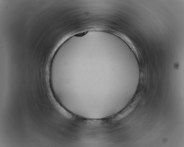 X0000101210859200807251048