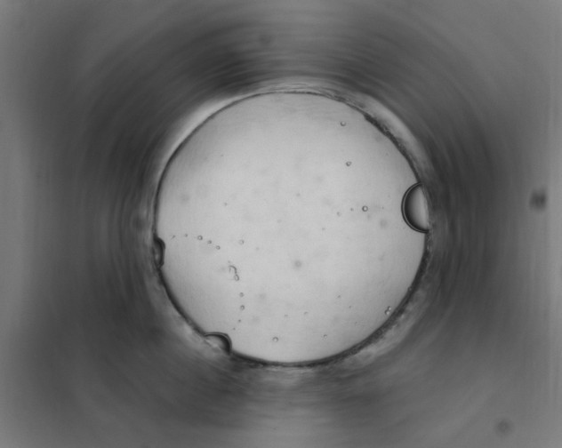 X0000101210860200807251048