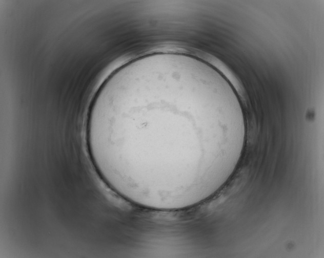 X0000101210861200807251048