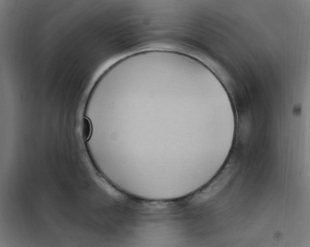 X0000101210862200807251048