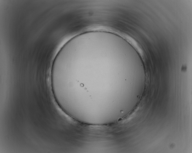 X0000101210863200807251048