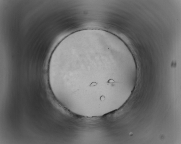 X0000101210864200807251048