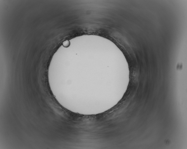 X0000101210865200807251047