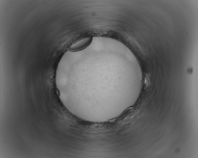 X0000101210867200807251047