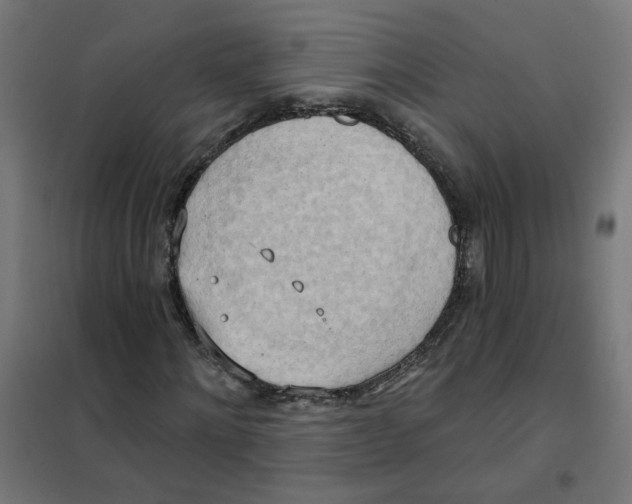 X0000101210868200807251047