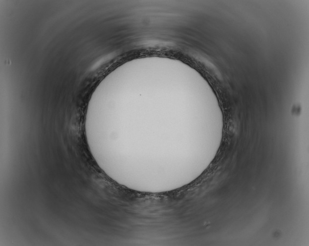 X0000101210869200807251047