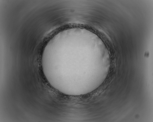 X0000101210870200807251047