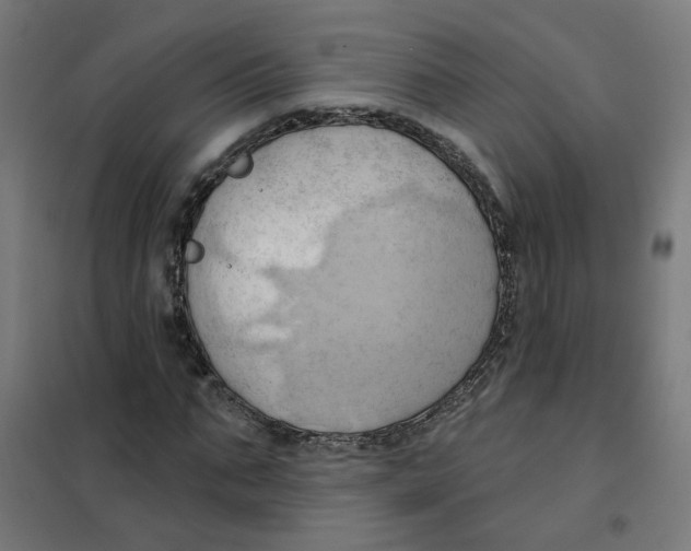 X0000101210871200807251047