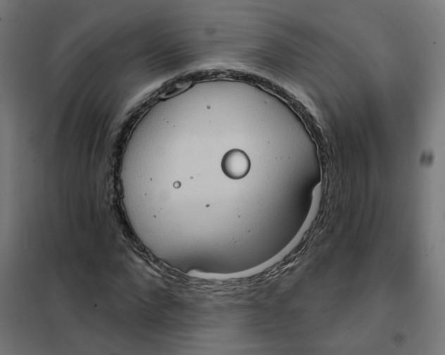 X0000101210872200807251047