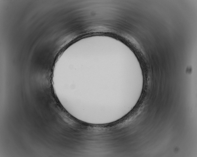 X0000101210873200807251047