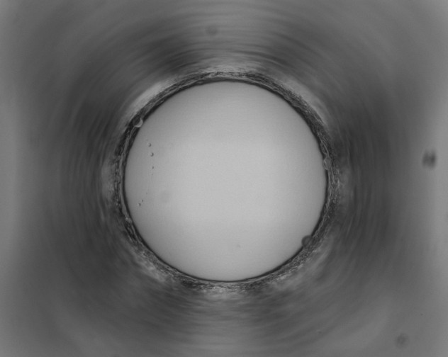 X0000101210874200807251047