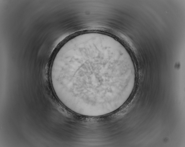 X0000101210875200807251047