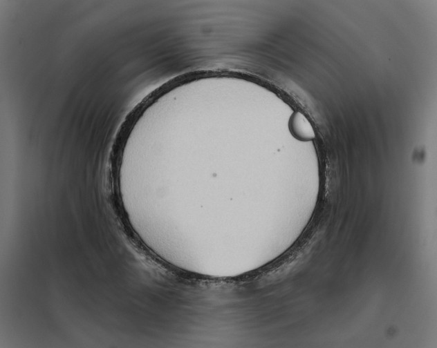 X0000101210876200807251047