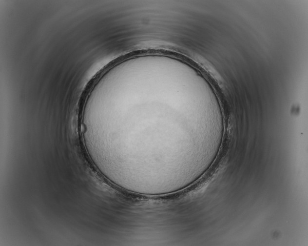 X0000101210877200807251047