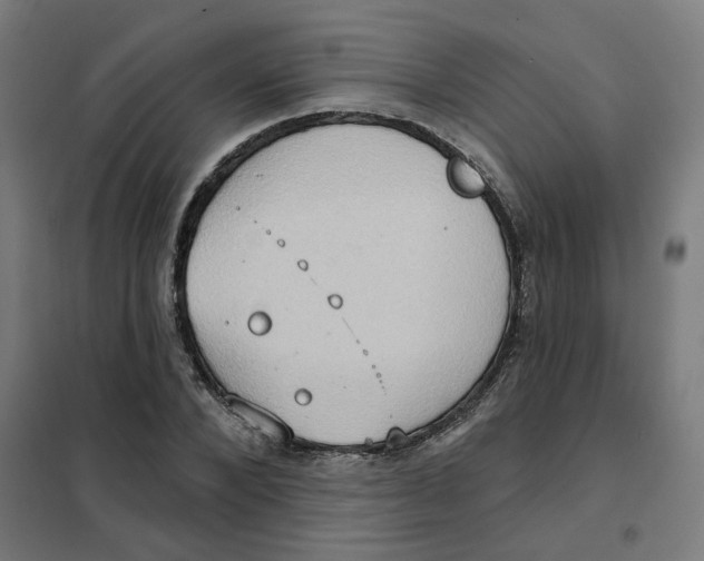 X0000101210880200807251047