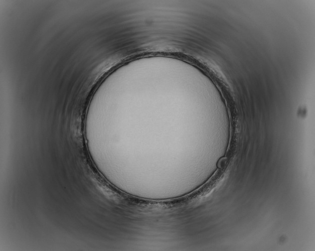 X0000101210881200807251047