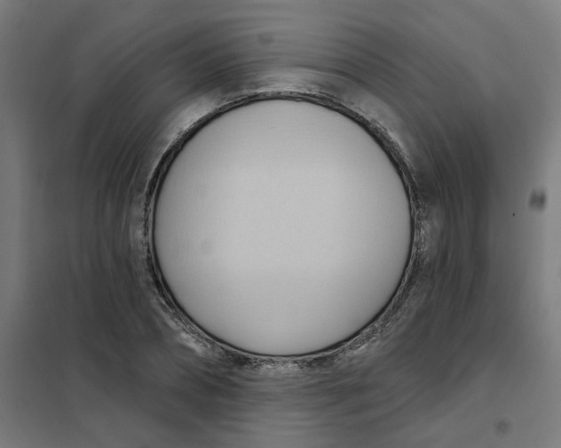 X0000101210882200807251047