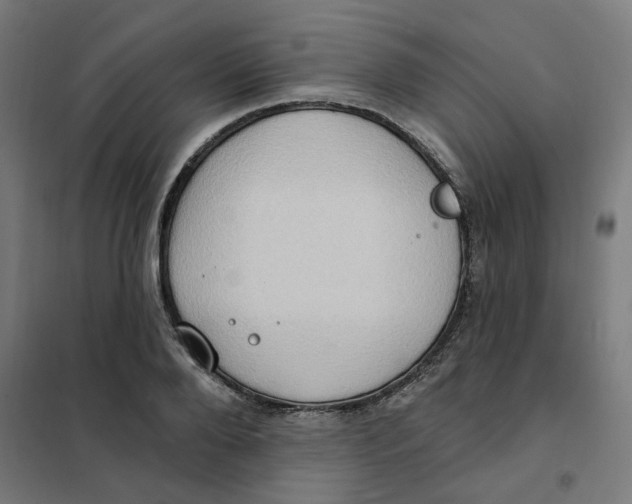 X0000101210888200807251046