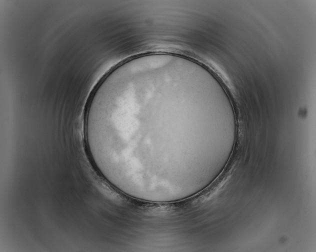 X0000101210891200807251046