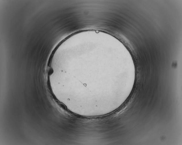 X0000101210892200807251046