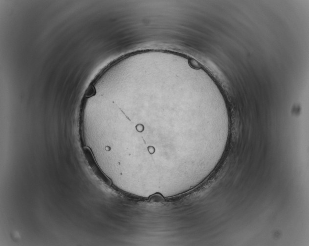 X0000101210896200807251046