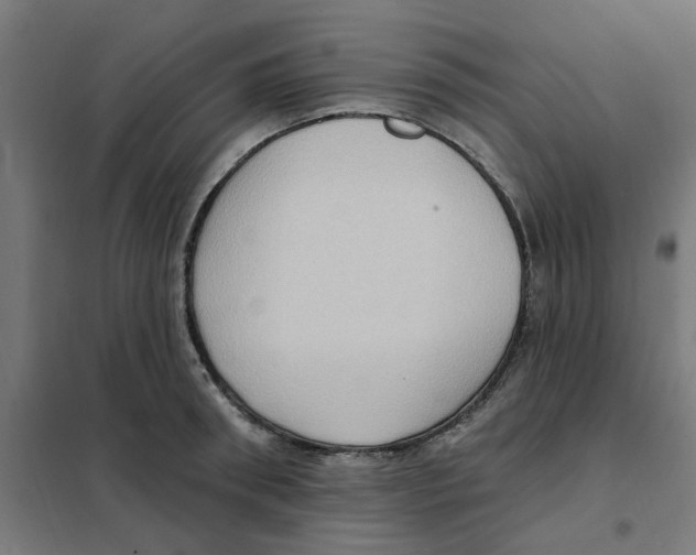 X0000101210898200807251046