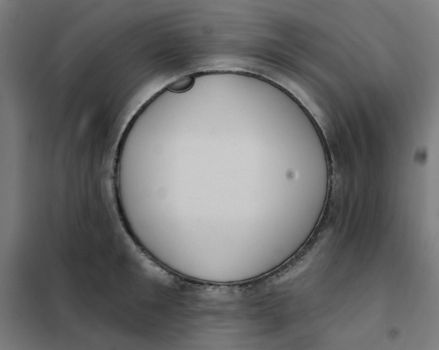 X0000101210901200807251046