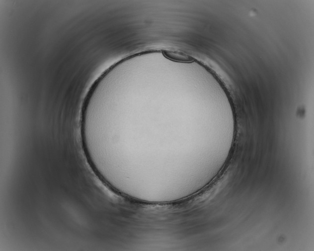 X0000101210902200807251046