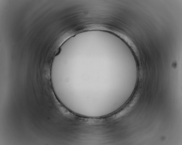 X0000101210905200807251046