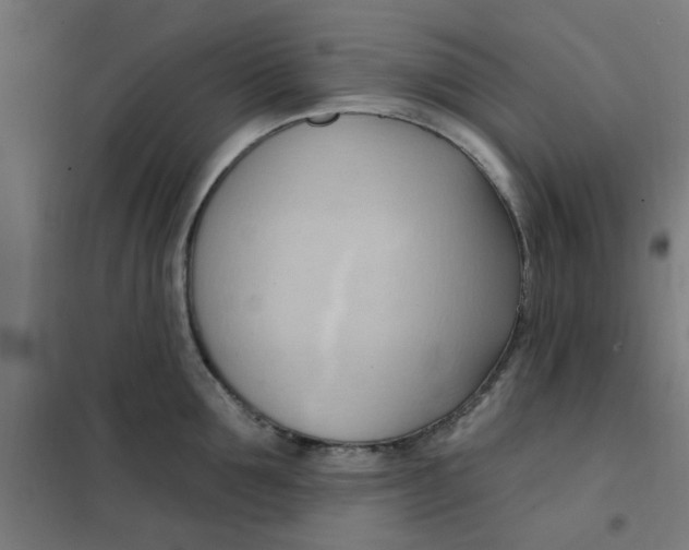 X0000101210907200807251046