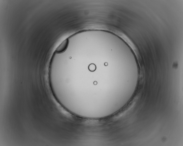 X0000101210909200807251046