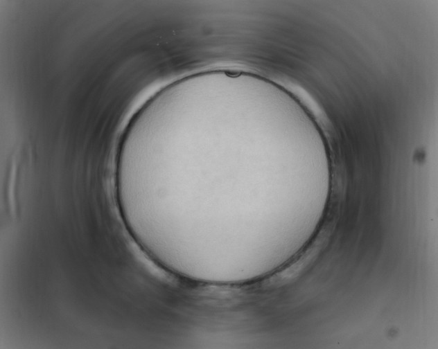 X0000101210910200807251046