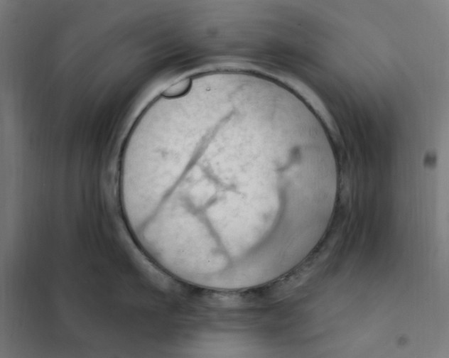 X0000101210911200807251046