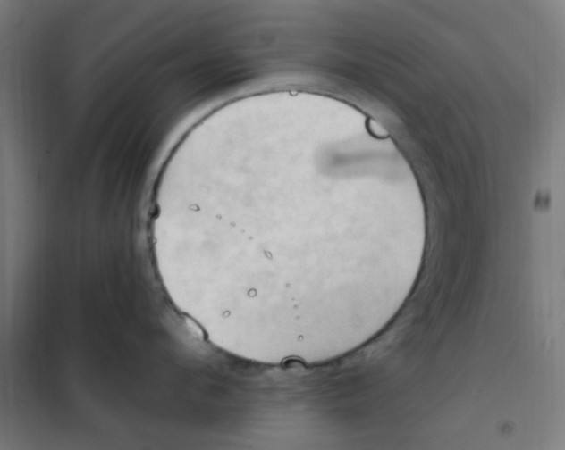 X0000101210912200807251046