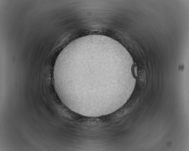 X0000101210916200807251045