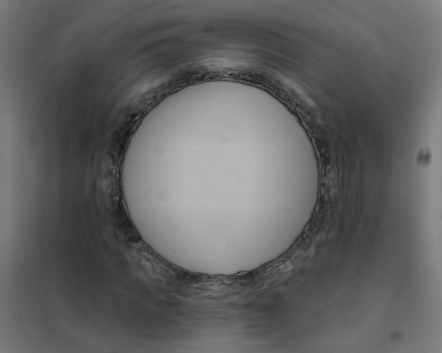 X0000101210917200807251045