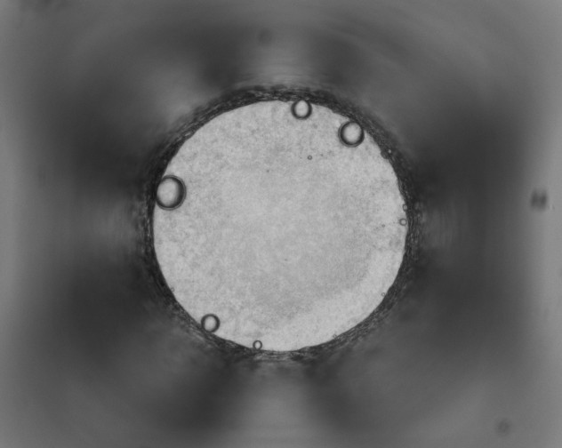 X0000101210918200807251046