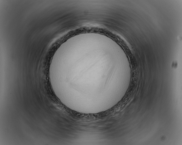 X0000101210919200807251046