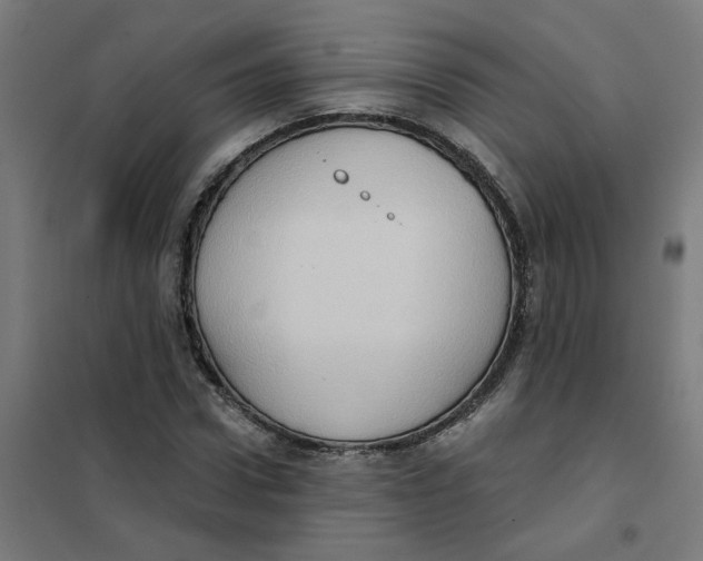 X0000101210922200807251046