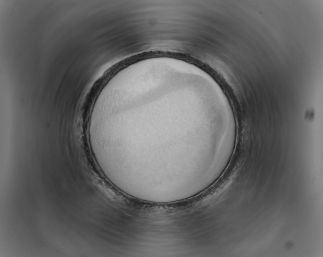 X0000101210923200807251046