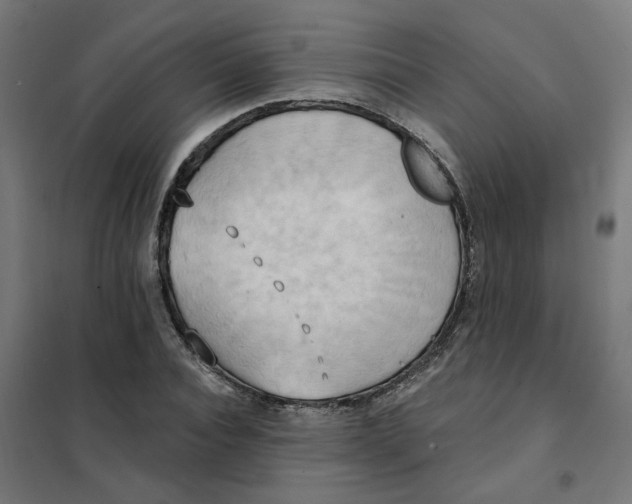 X0000101210928200807251046