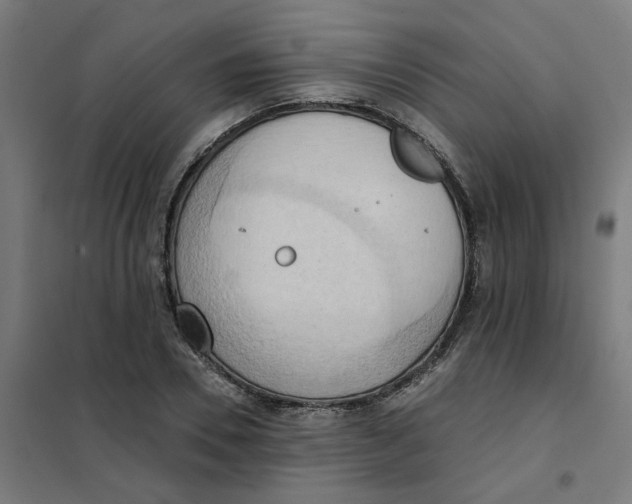 X0000101210930200807251046