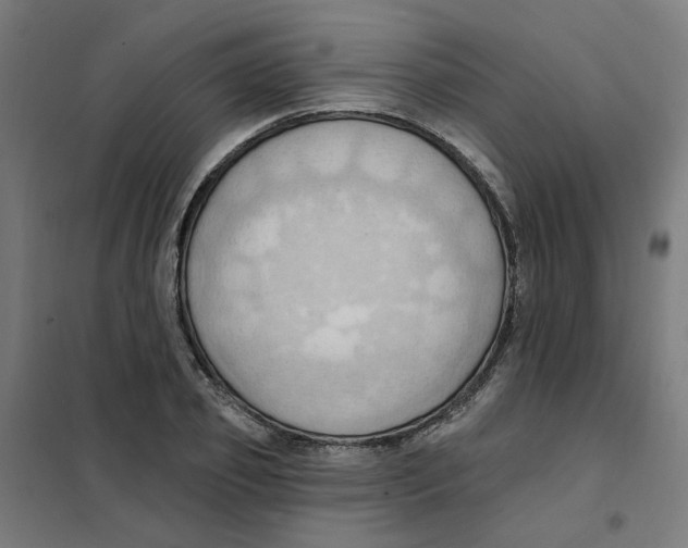 X0000101210933200807251046