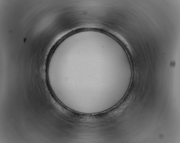 X0000101210935200807251046