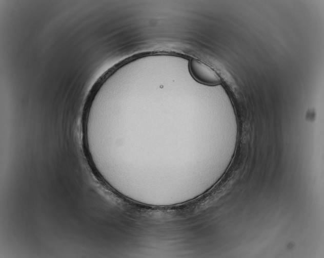 X0000101210936200807251046