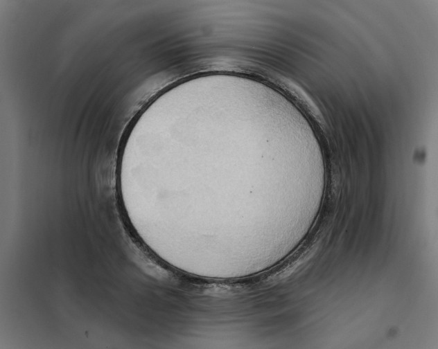 X0000101210938200807251046